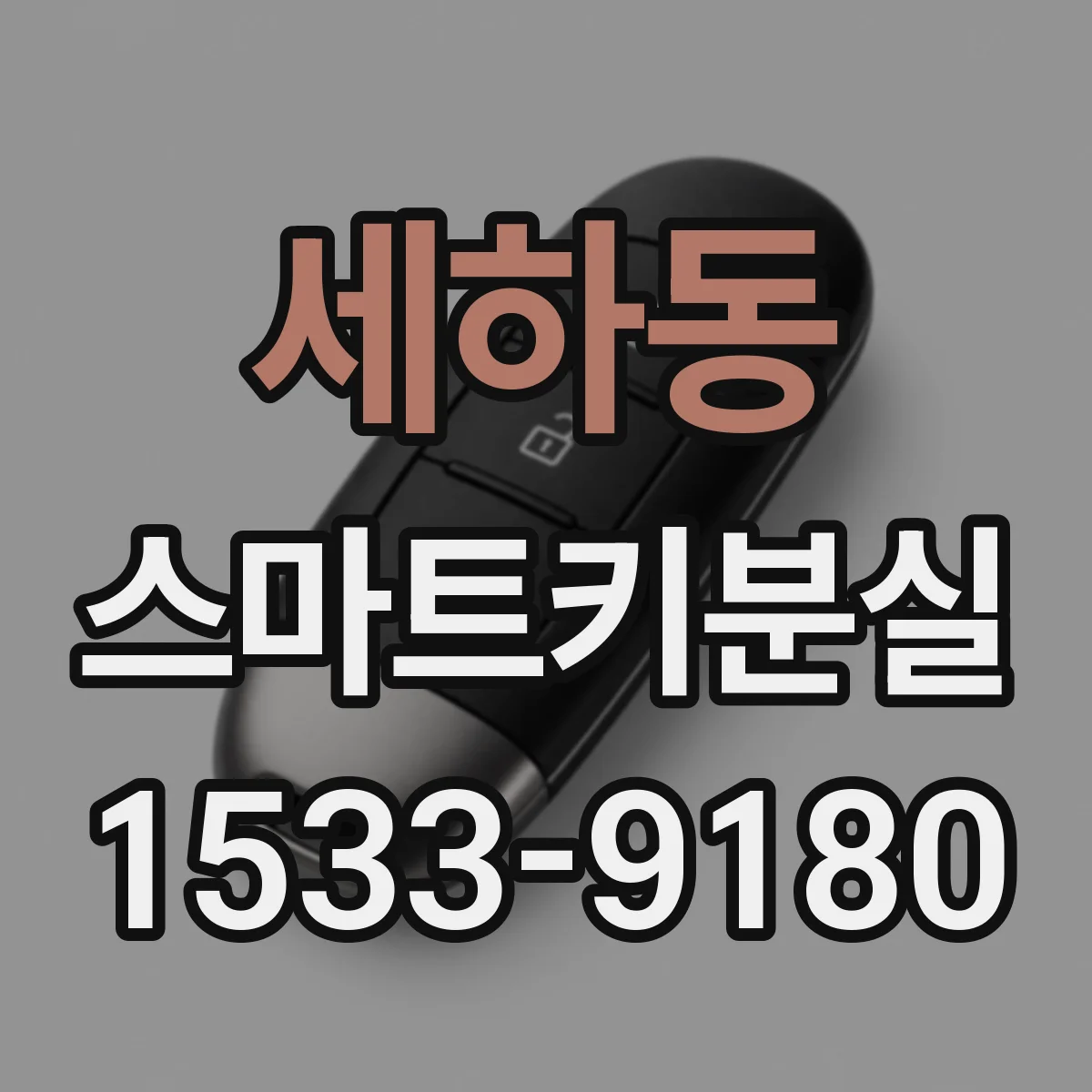 세하동 스마트키분실