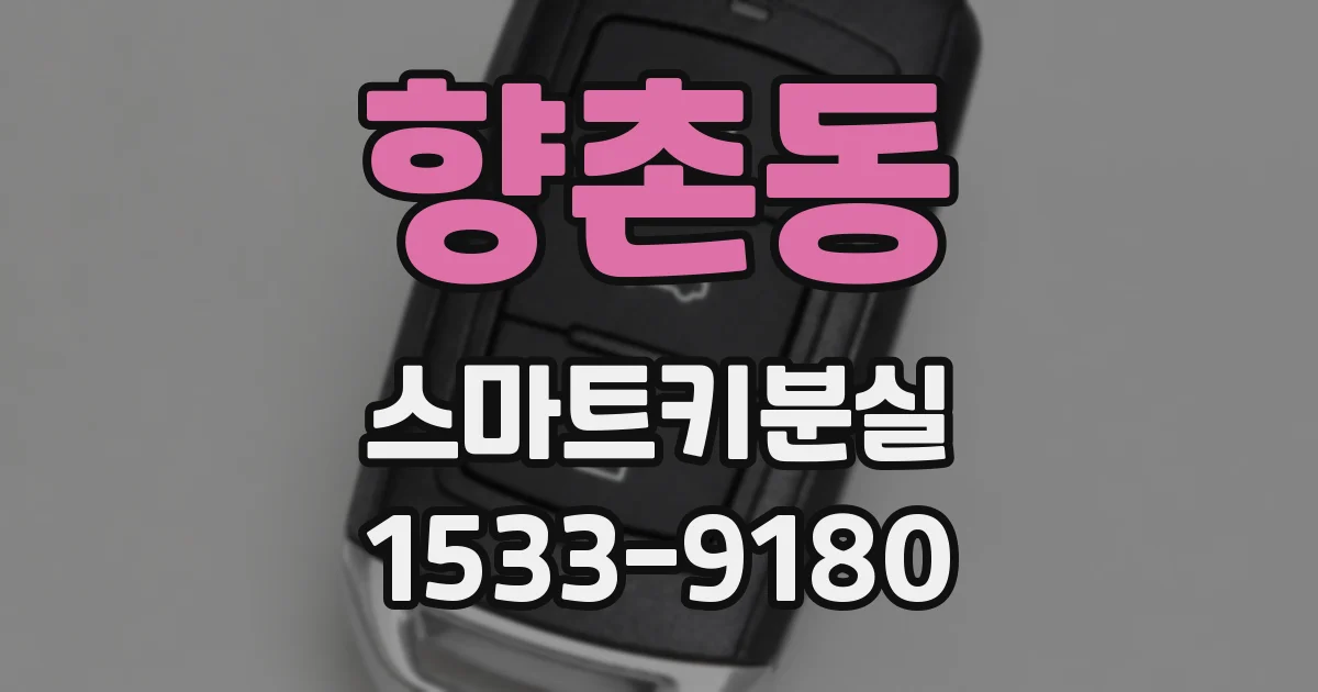 향촌동 스마트키분실