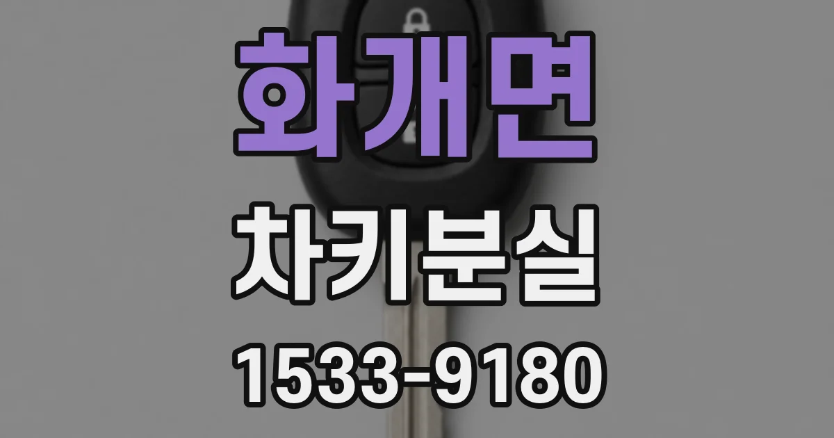 화개면 차키분실