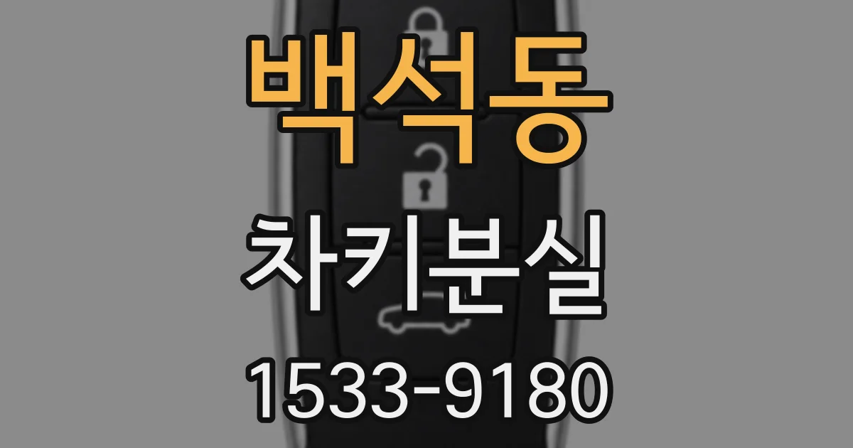 백석동 차키분실