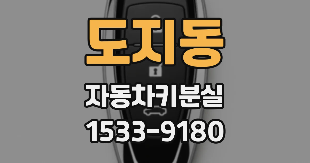 도지동 자동차키분실