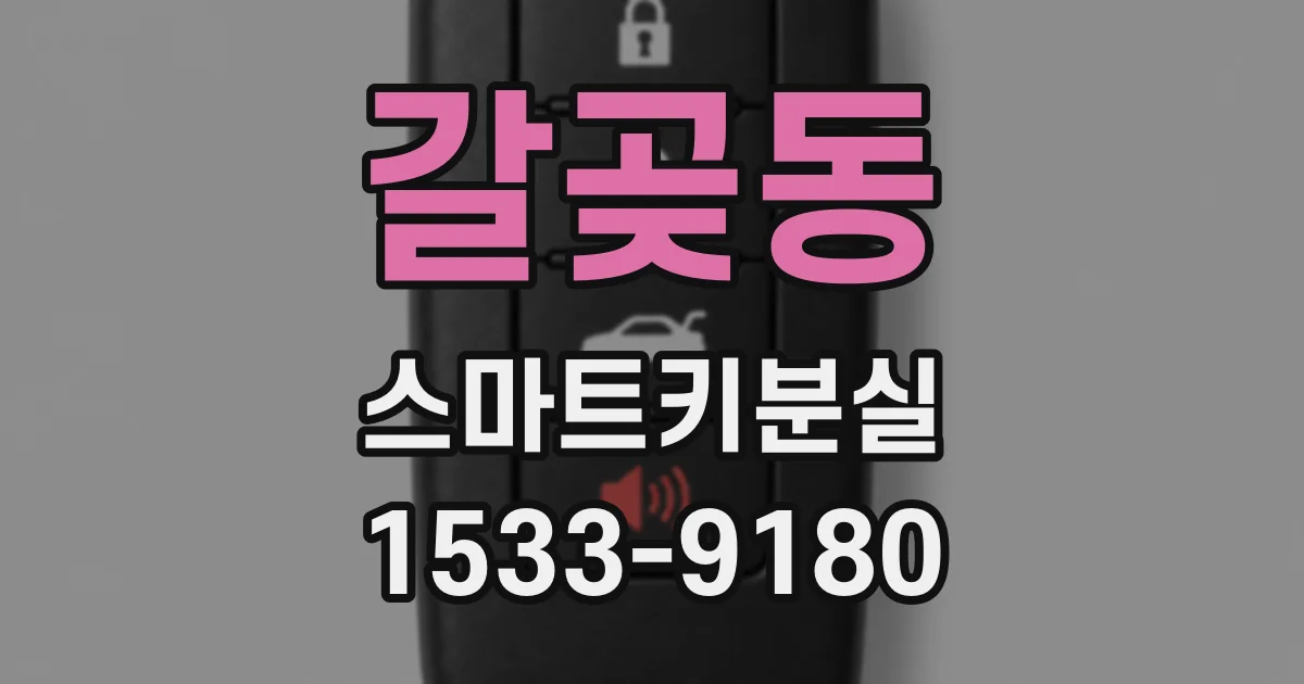 갈곶동 스마트키분실