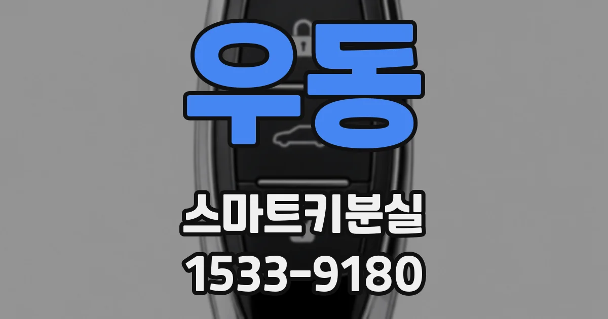 우동 스마트키분실