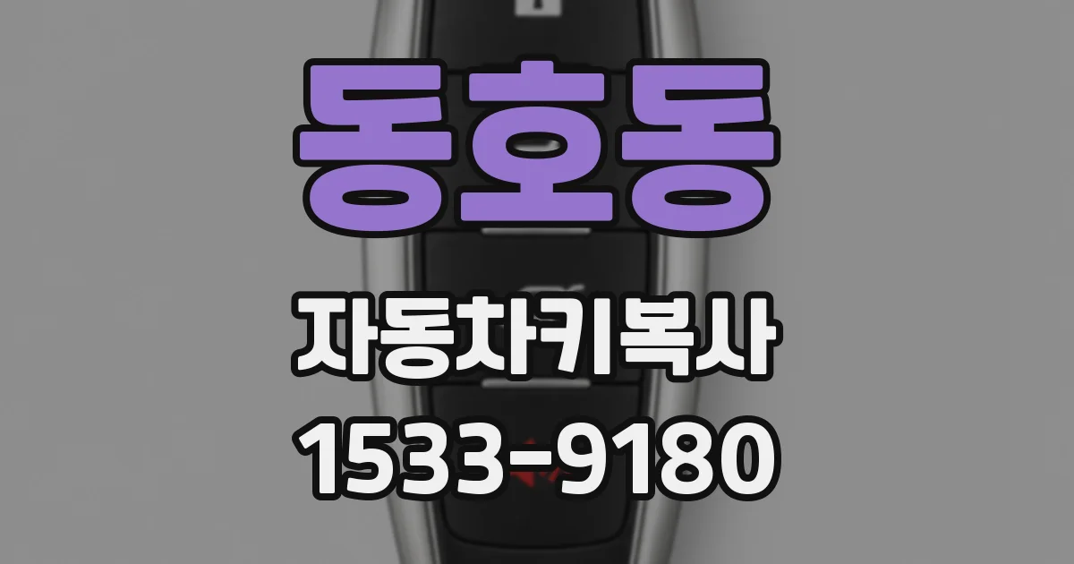 동호동 자동차키복사