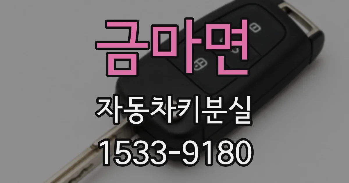 금마면 자동차키분실