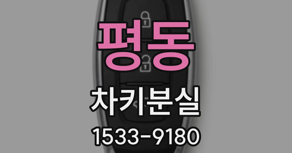 평동 차키분실
