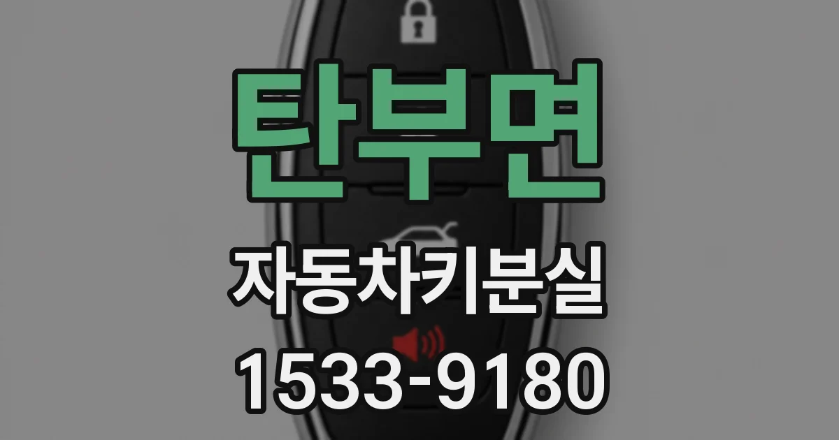 탄부면 자동차키분실