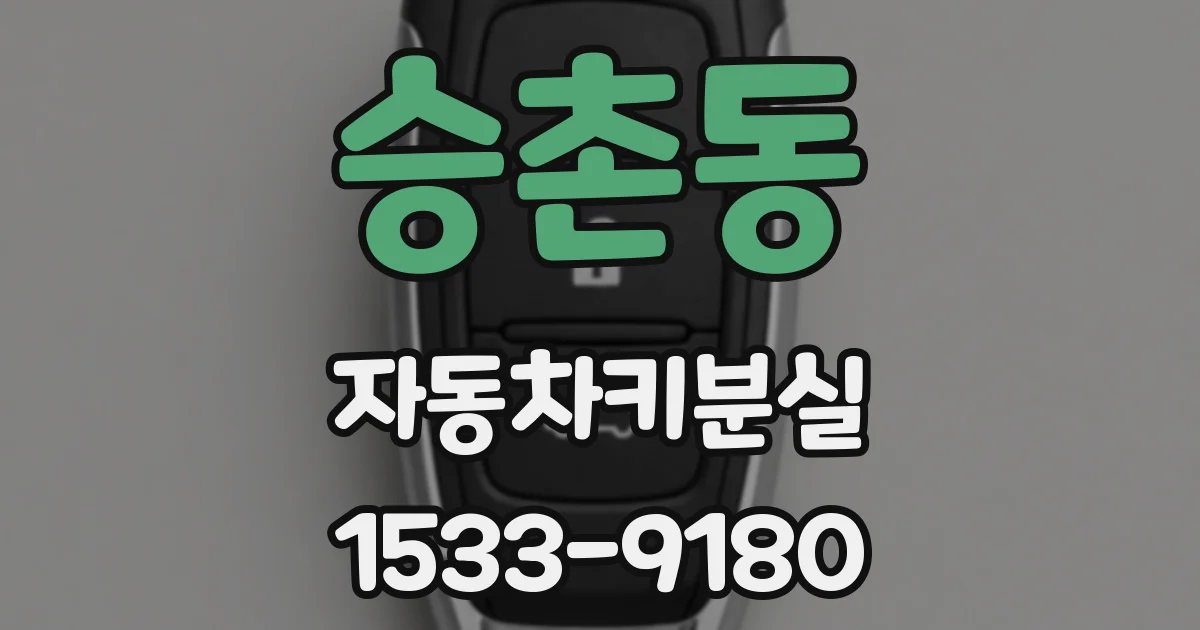 승촌동 자동차키분실