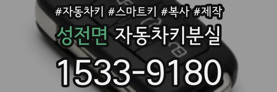 성전면 자동차키분실