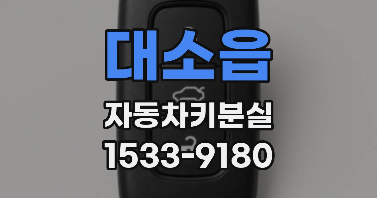 대소읍 자동차키분실