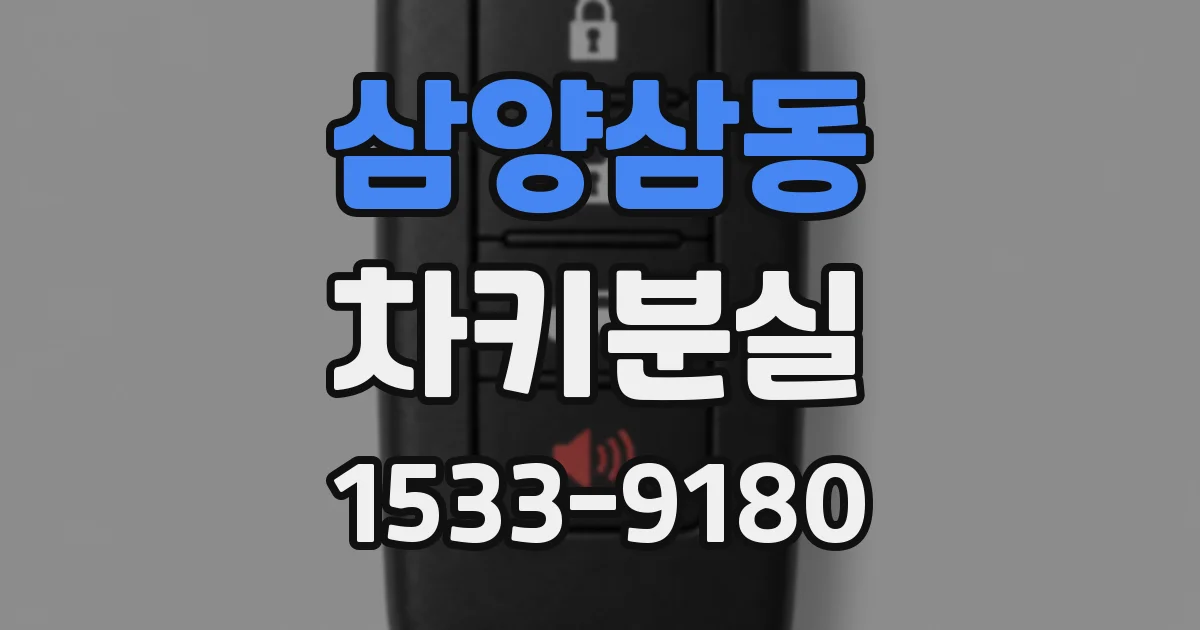 삼양삼동 차키분실