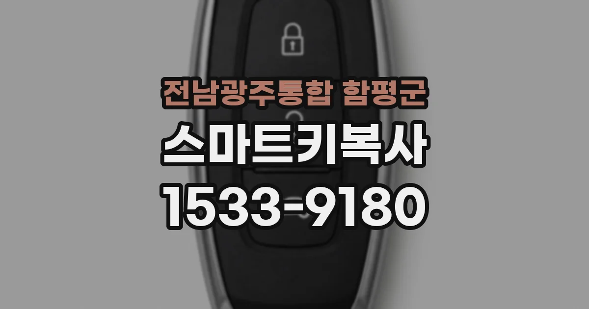 전남광주통합 함평군 스마트키복사