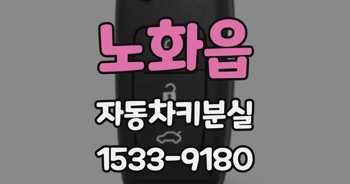 노화읍 자동차키분실