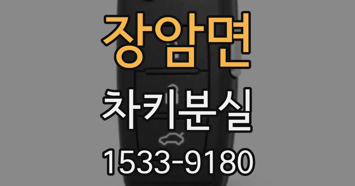 장암면 차키분실