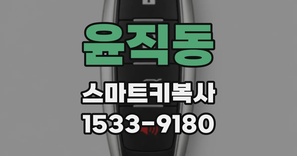 윤직동 스마트키복사