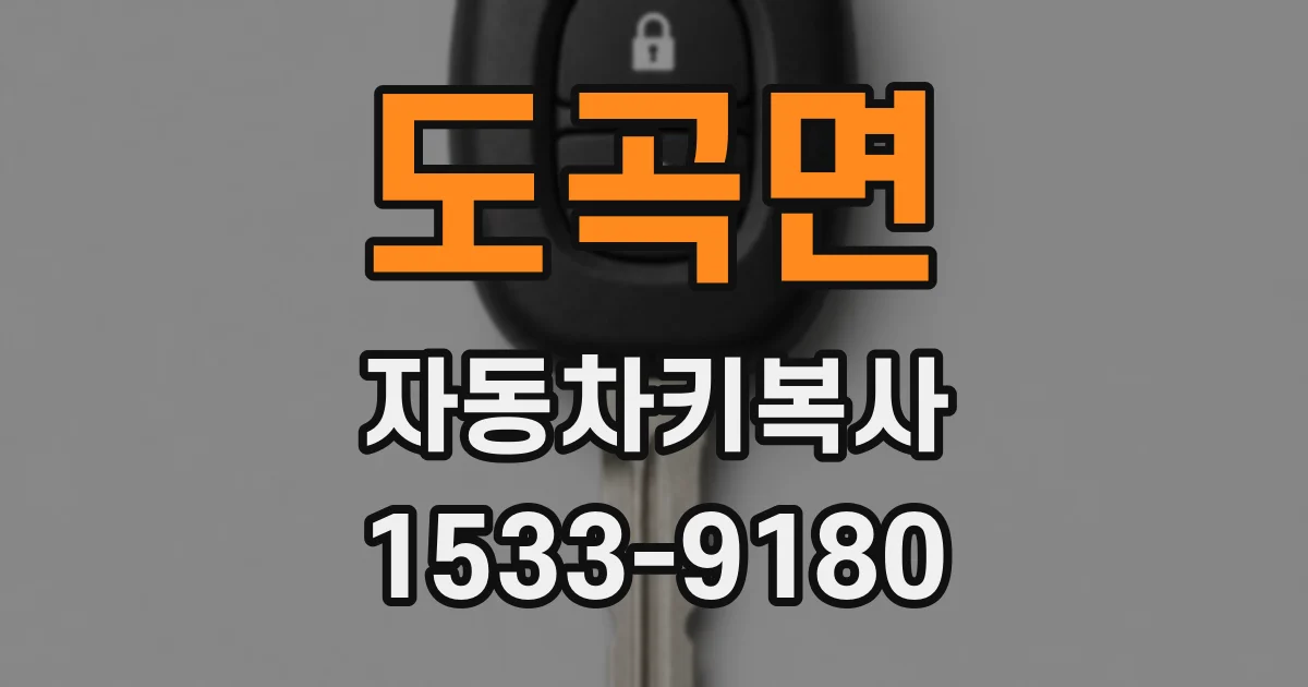 도곡면 자동차키복사