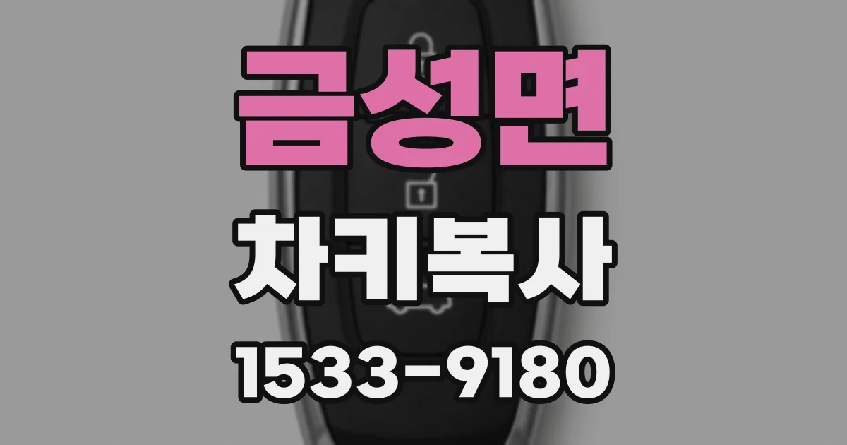금성면 차키복사