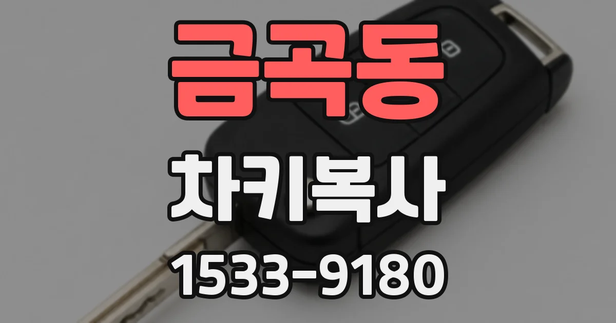 금곡동 차키복사