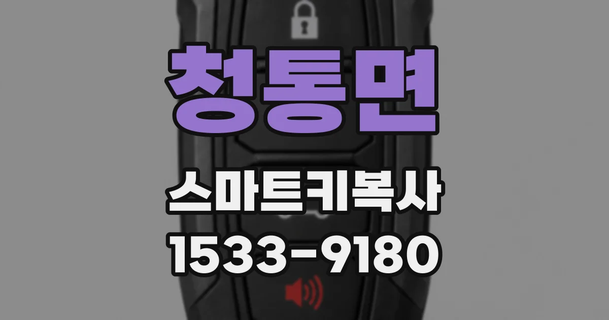 청통면 스마트키복사