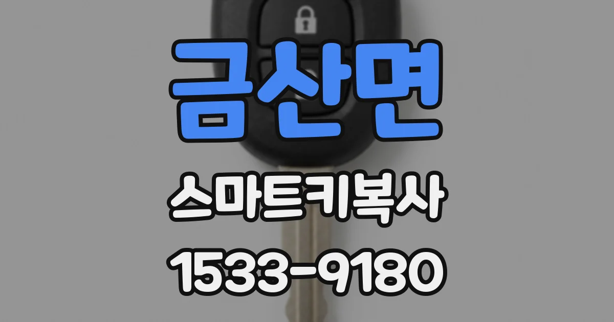 금산면 스마트키복사