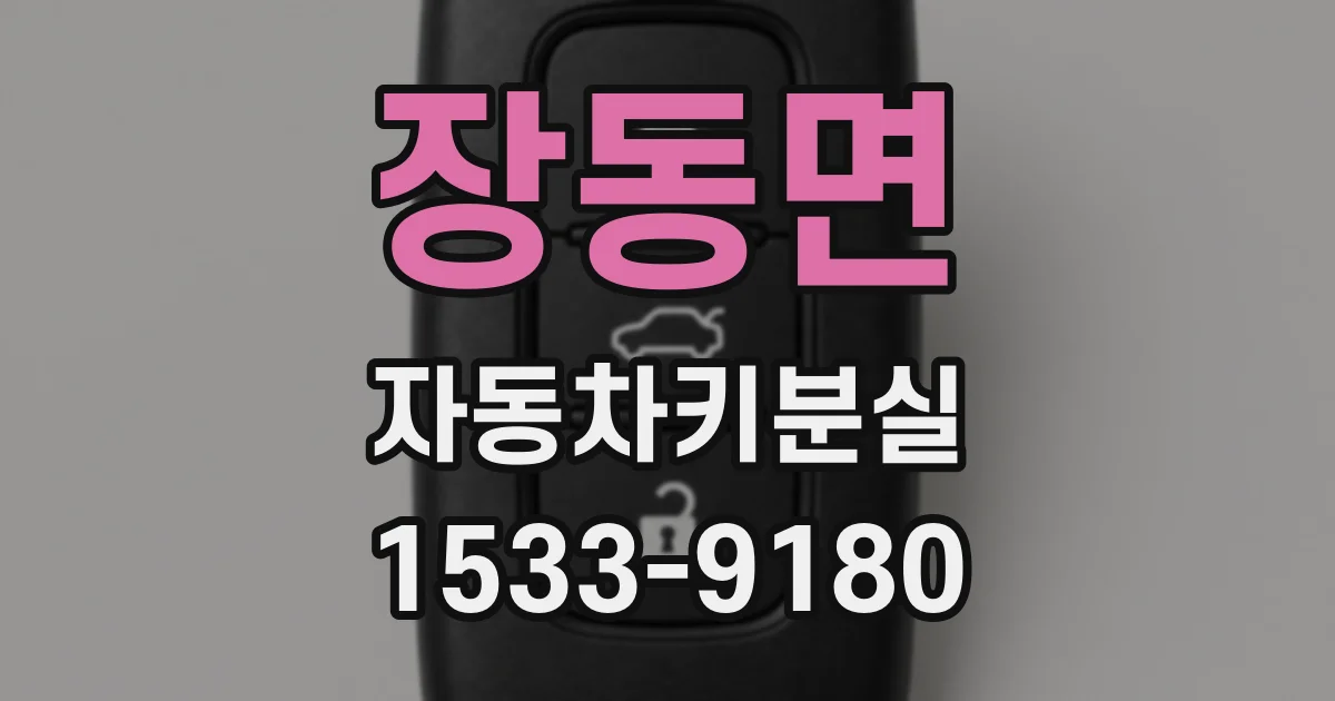 장동면 자동차키분실