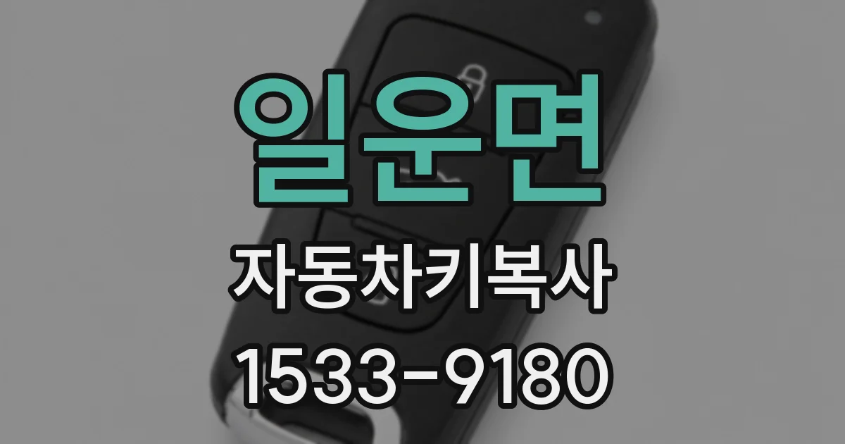 일운면 자동차키복사