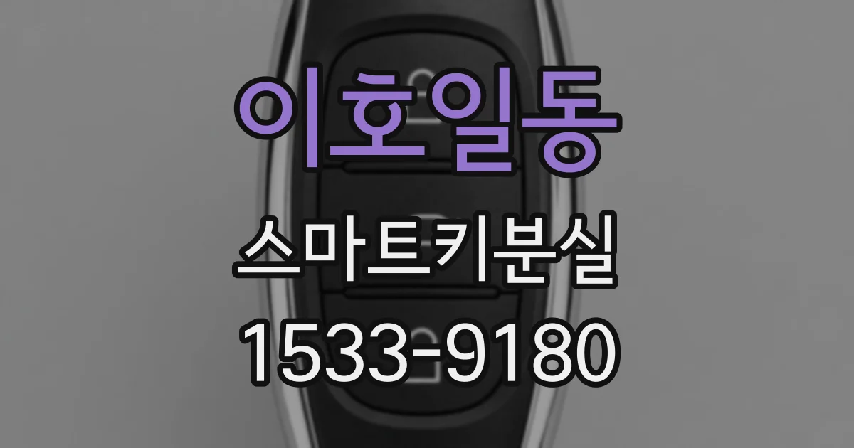 이호일동 스마트키분실