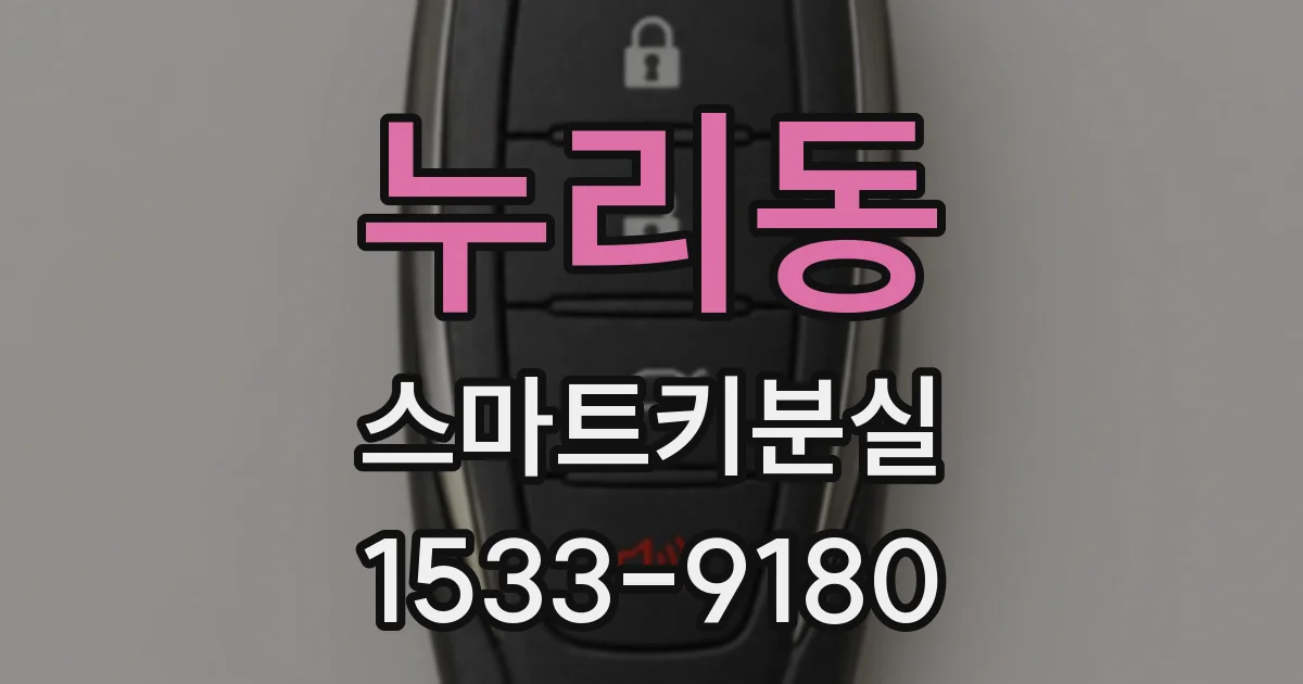 누리동 스마트키분실