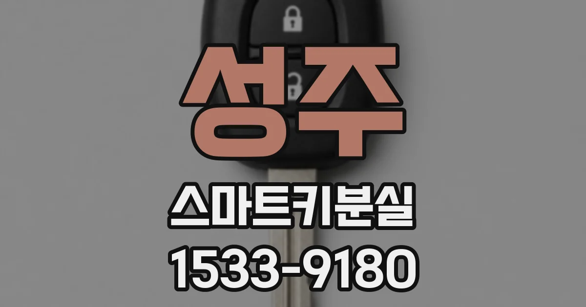 성주 스마트키분실