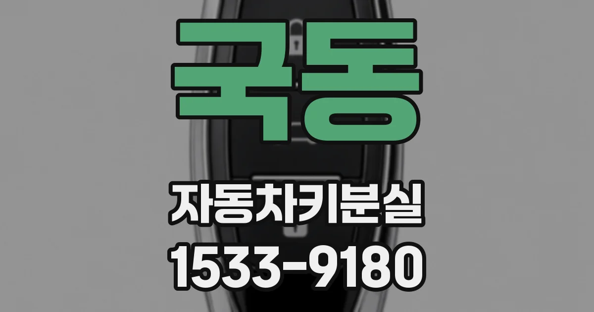 국동 자동차키분실