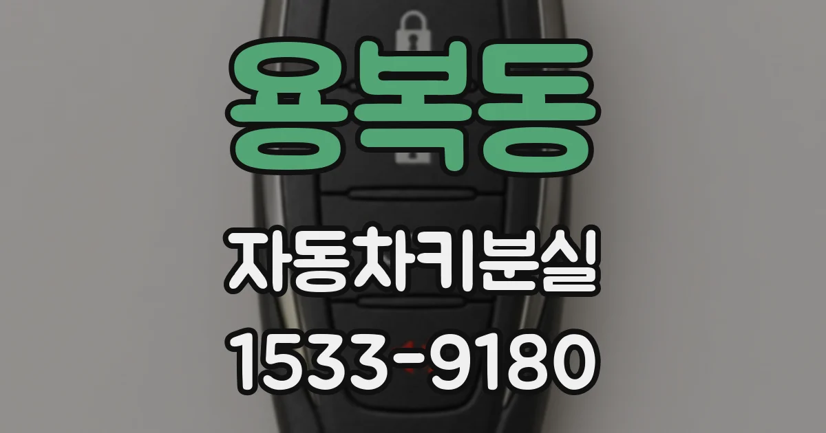 용복동 자동차키분실