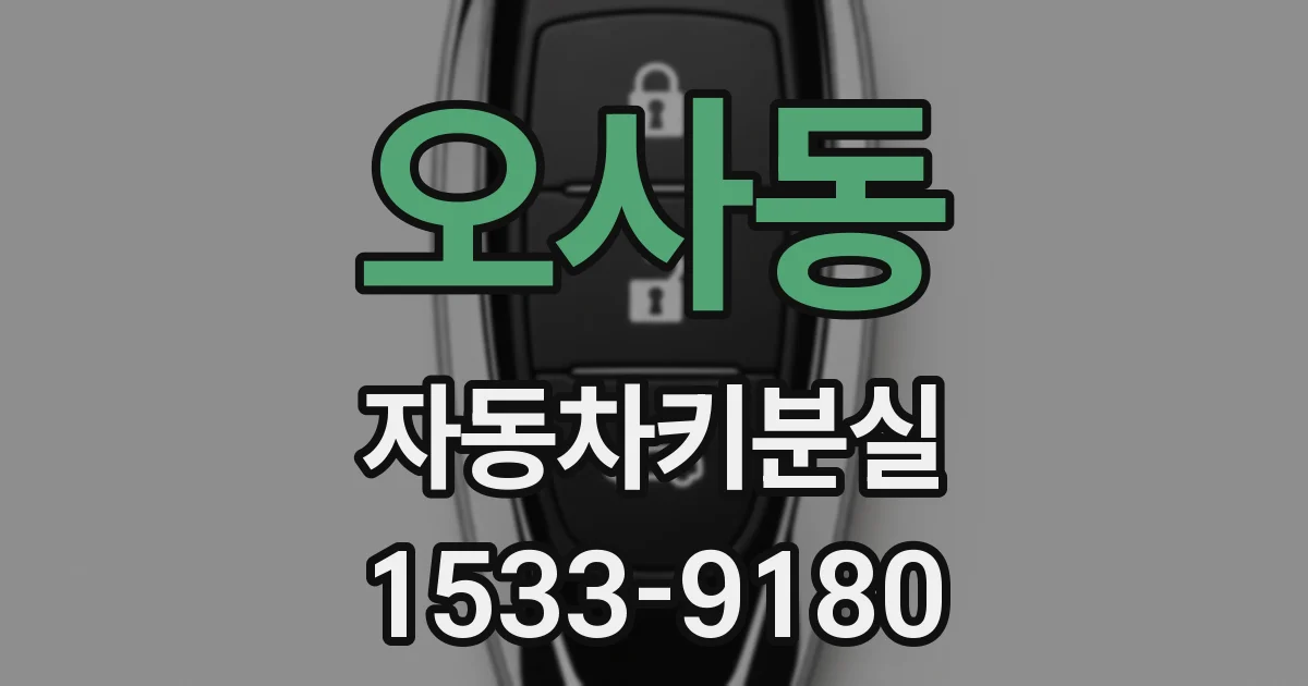 오사동 자동차키분실