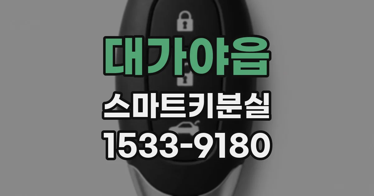 대가야읍 스마트키분실