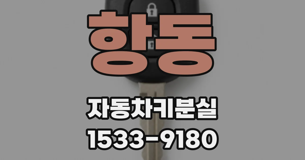 항동 자동차키분실