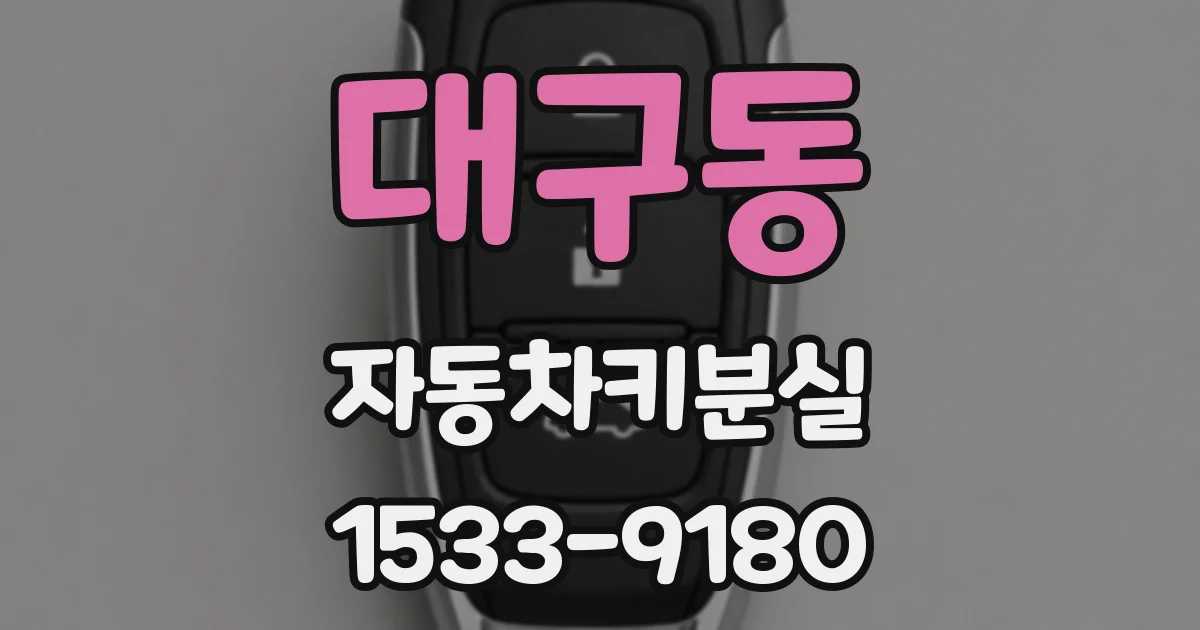 대구동 자동차키분실