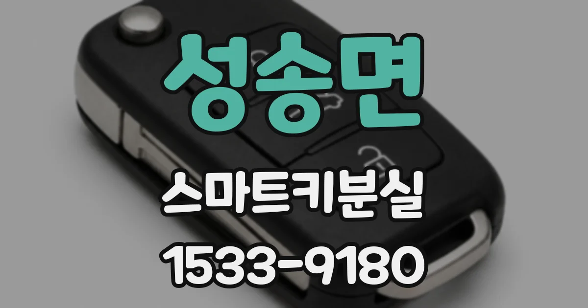 성송면 스마트키분실