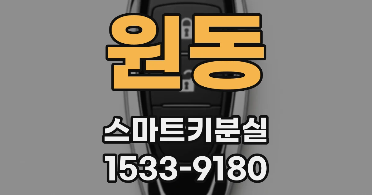 원동 스마트키분실