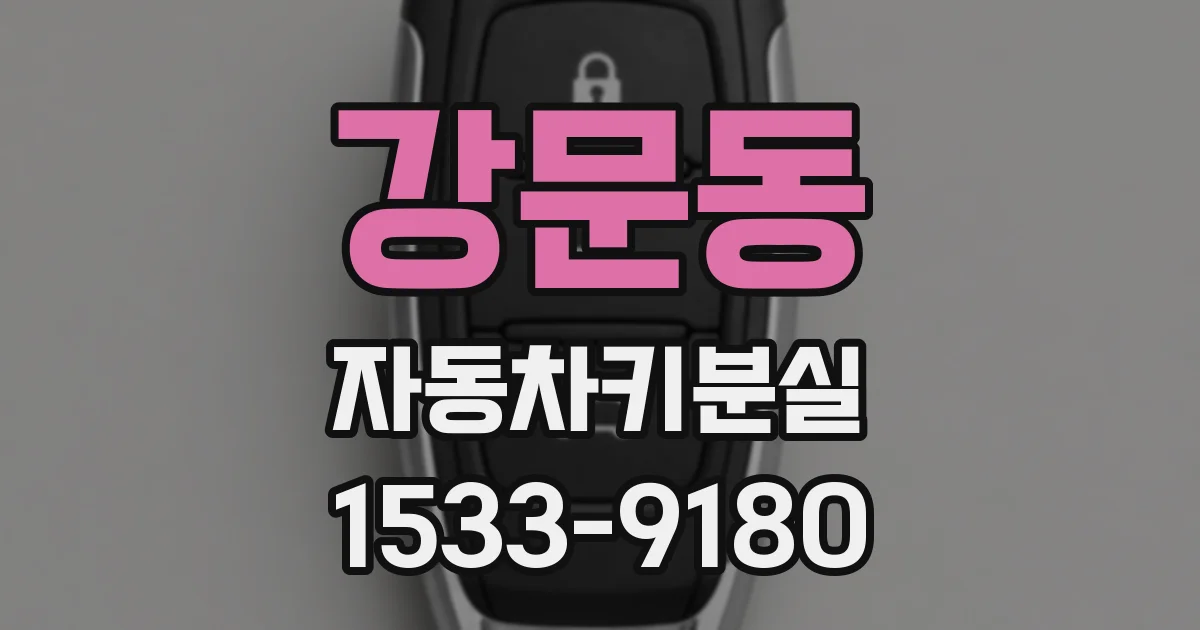 강문동 자동차키분실