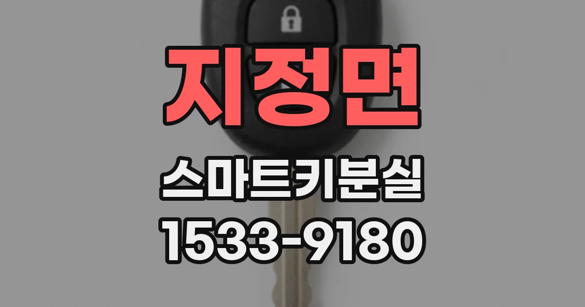 지정면 스마트키분실