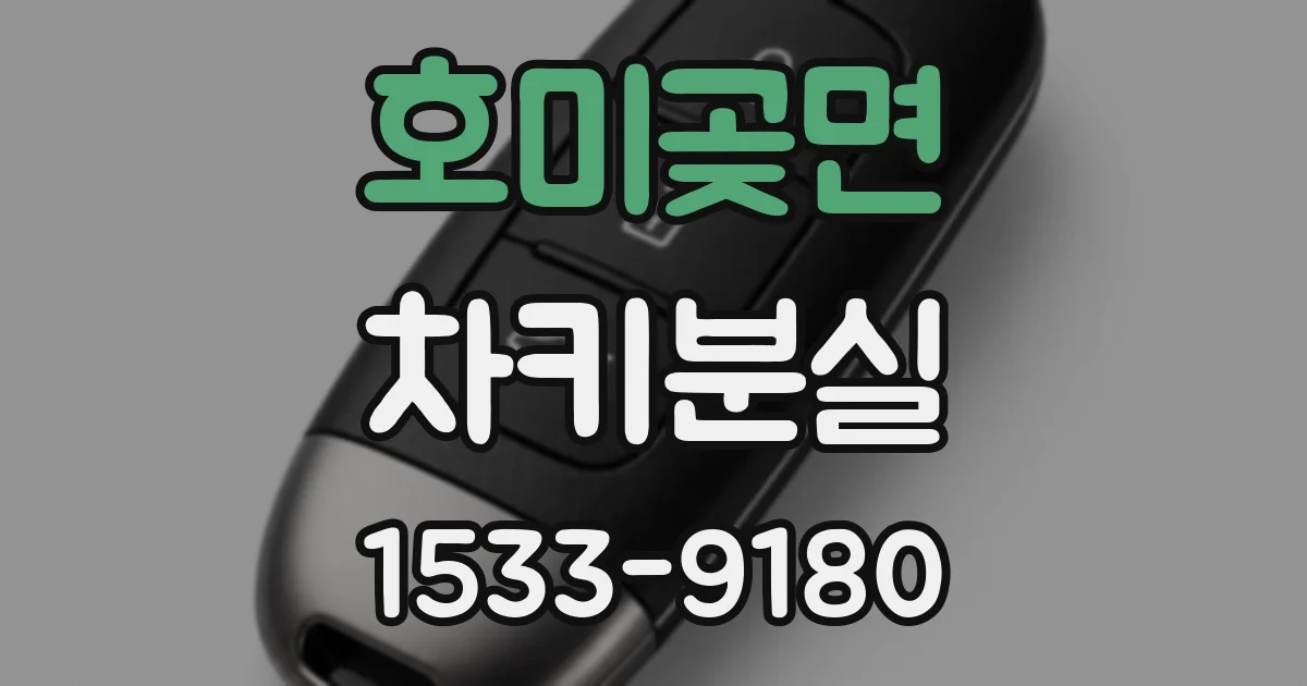 호미곶면 차키분실