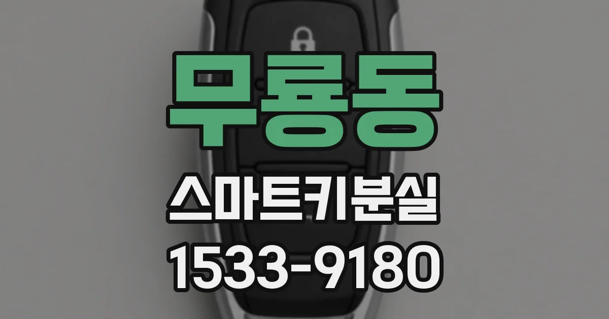 무룡동 스마트키분실