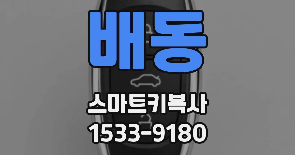 배동 스마트키복사