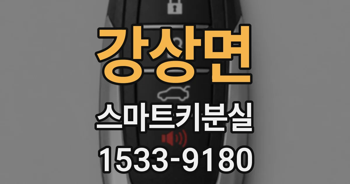 강상면 스마트키분실