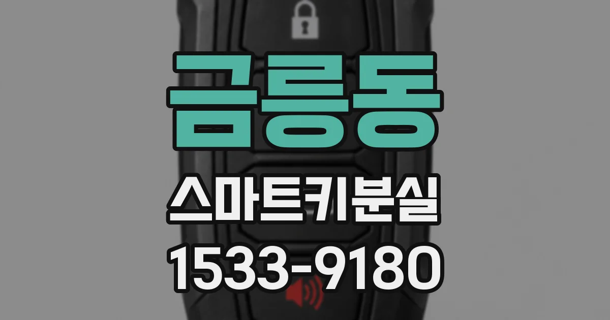 금릉동 스마트키분실