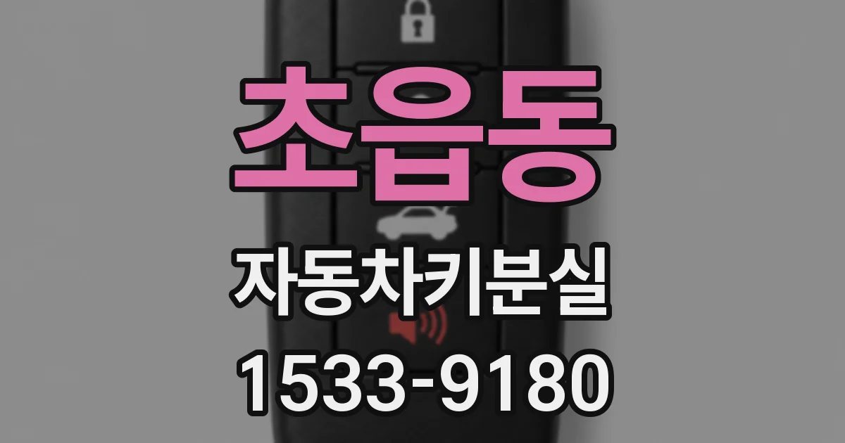 초읍동 자동차키분실