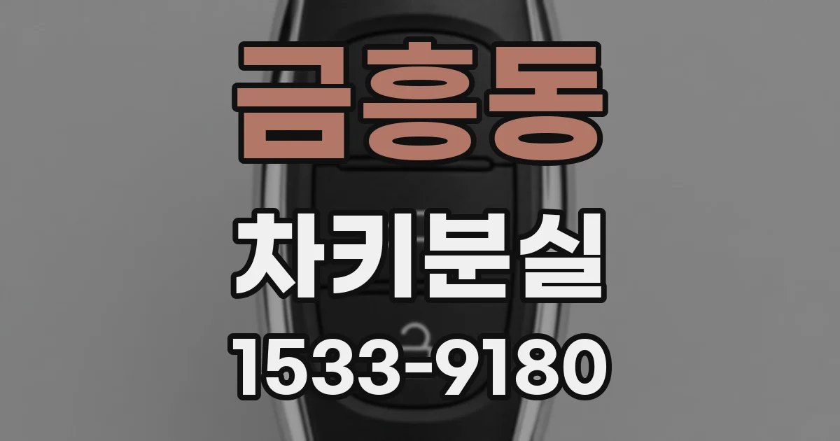 금흥동 차키분실