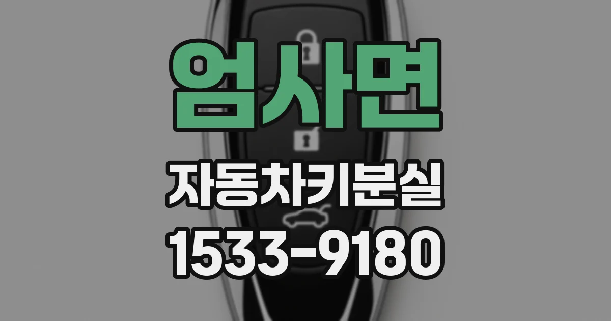 엄사면 자동차키분실