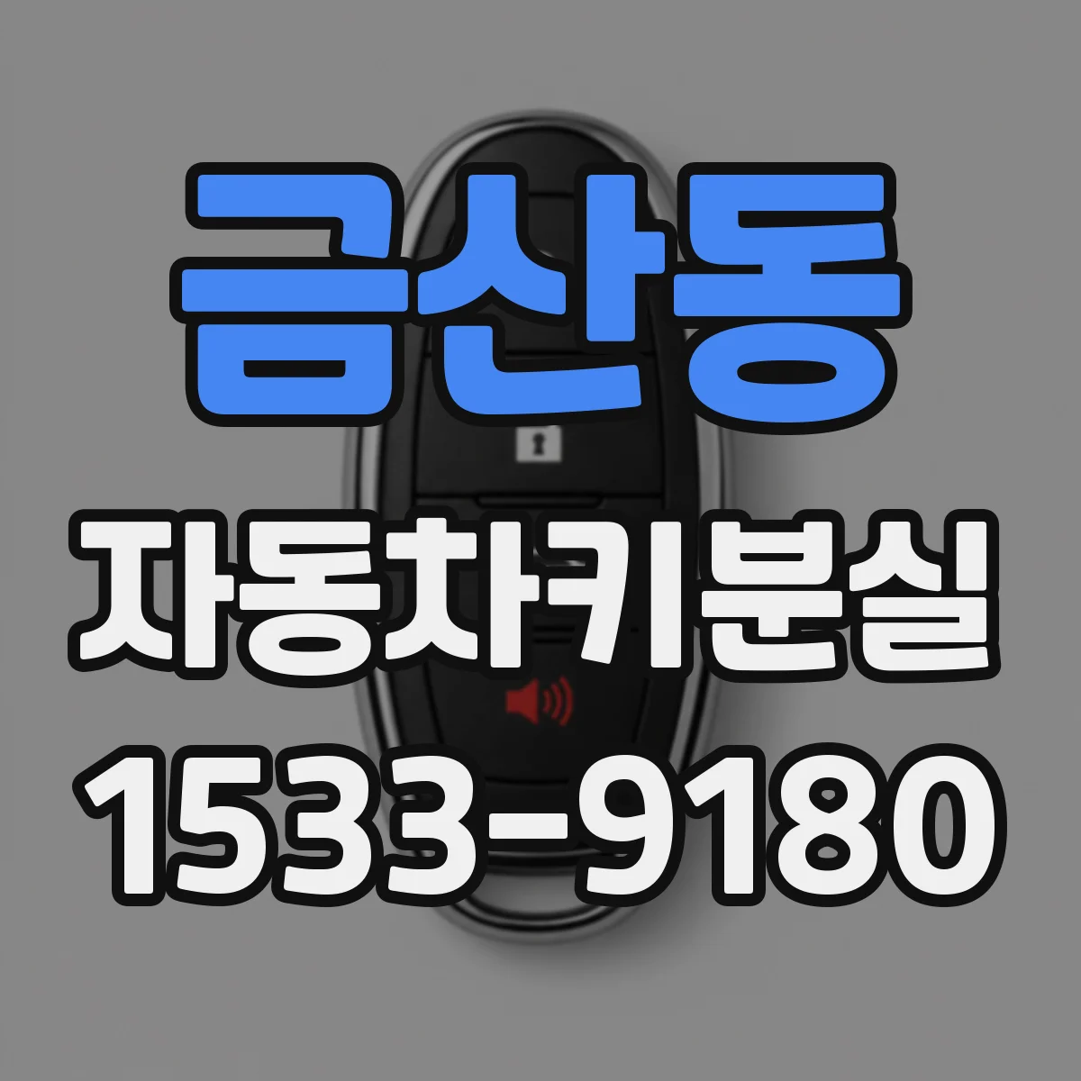 금산동 자동차키분실