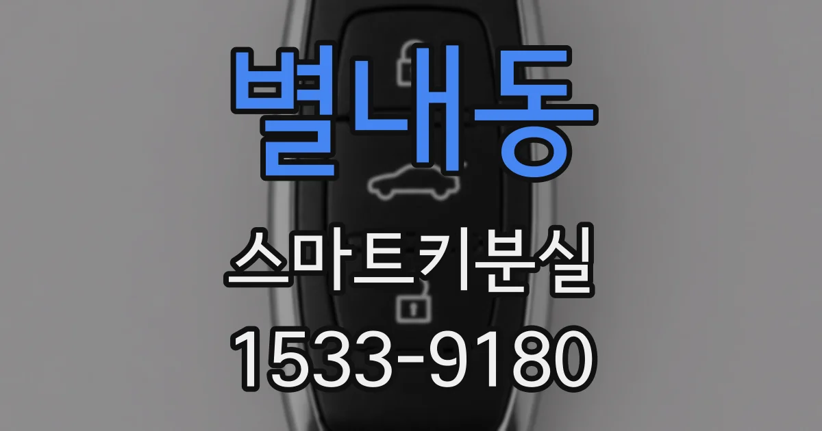 별내동 스마트키분실