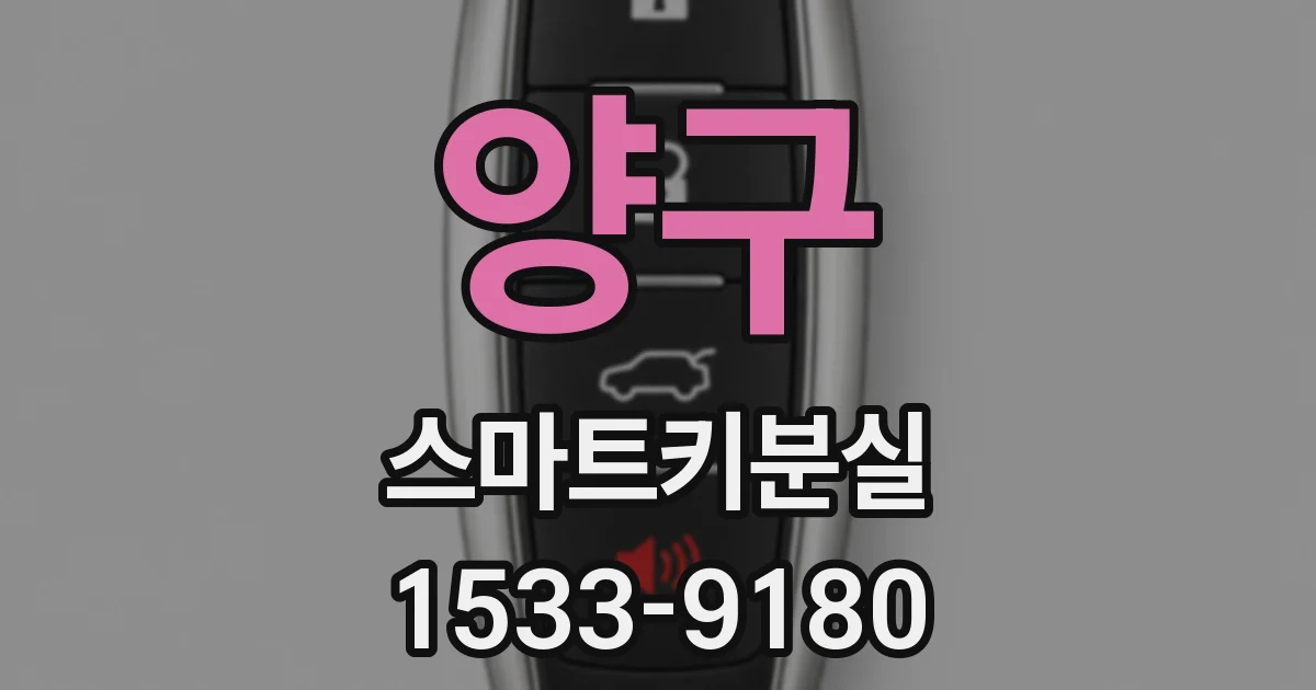 양구 스마트키분실